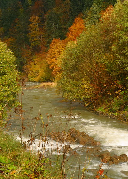 Bieszczady