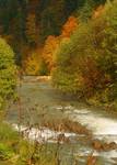 Bieszczady