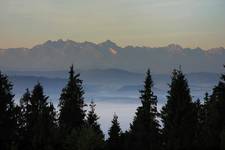 Gorce. Widok na Tatry ze Studzionek.