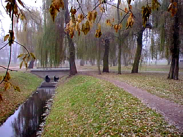 park jesienią