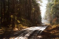 Kampinos o poranku