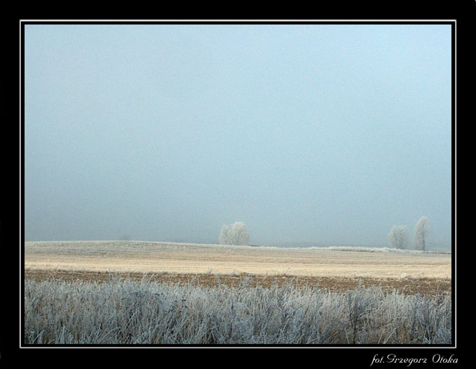 Poranek na Podlasiu