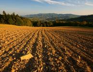 Beskid Wyspowy