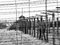 Majdanek c.d.