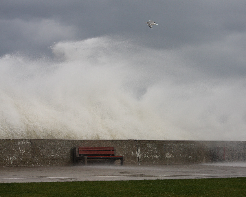 Bulwar, Gdynia 14.10.2009