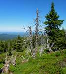 Karkonosze 2009.06.13  7