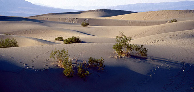 Stovepipe Wells Dunes