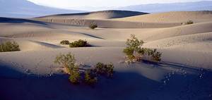 Stovepipe Wells Dunes