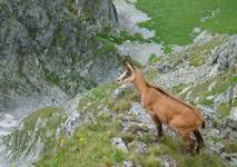 Tatry  2009.07.24  26