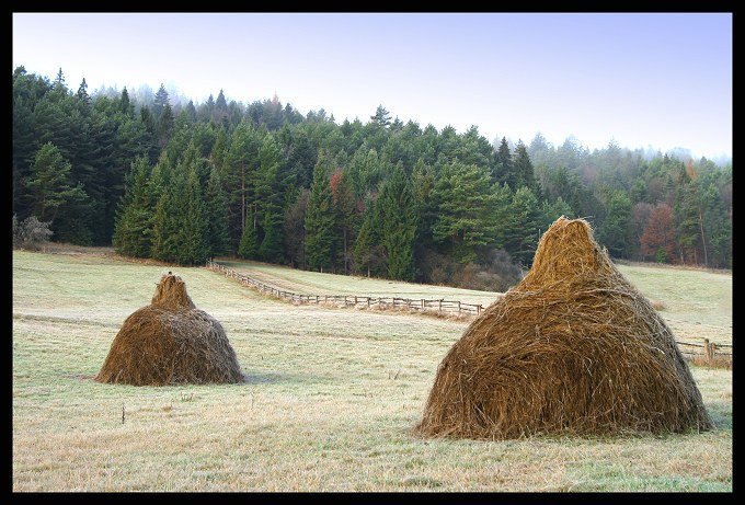 Gdy tylko mgła ustąpiła...