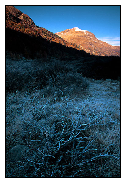 Poranek na Przeleczy Bernina