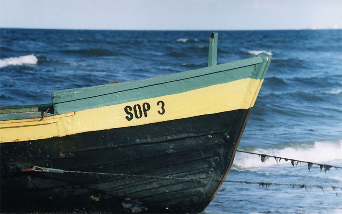 Sop 3