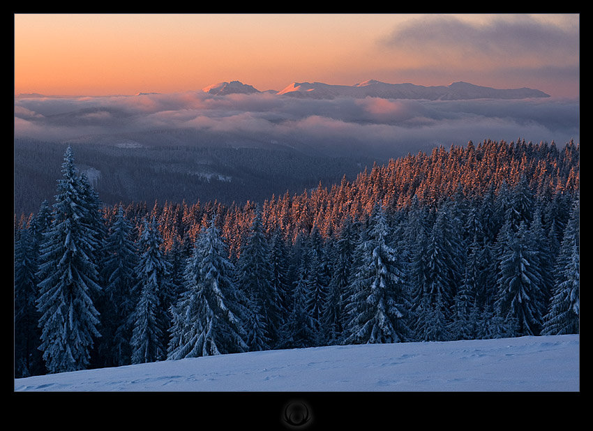 B. Żywiecki 1322 m n.p.m.