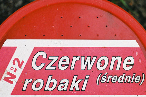 Lista wyborcza nr 2 ?