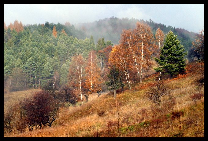 Prośba o pomoc.