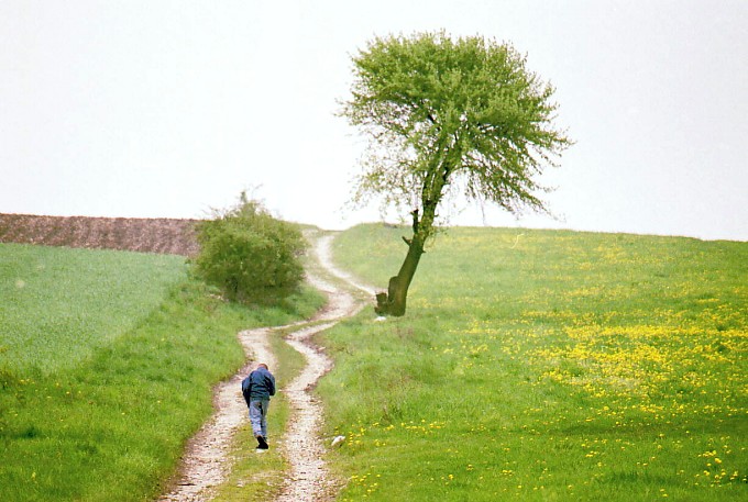 Jarek Żmudzki