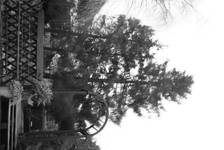img_7224.jpg