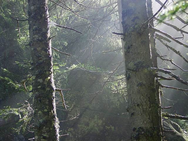 Tatry