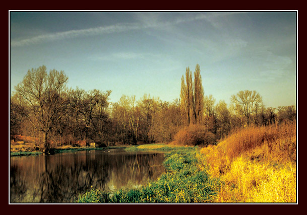 jesień nad stawem