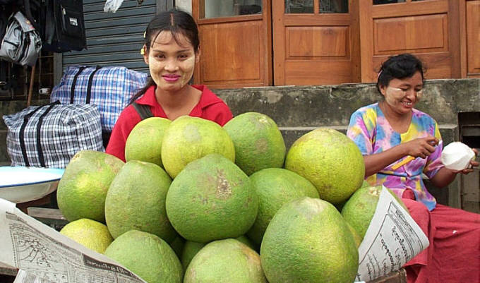 Tanaka girl i jej duze .... pomelo