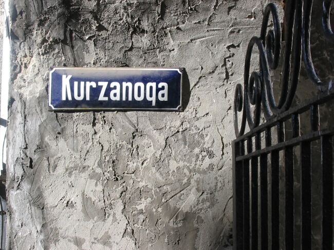 kurzanoga