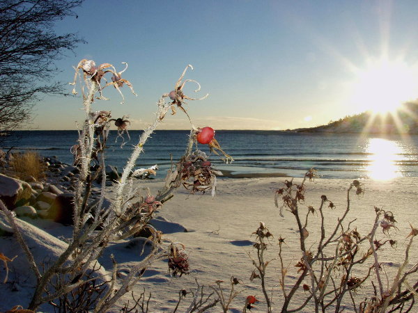 Pierwszy snieg w Västernorrland,Szwecja