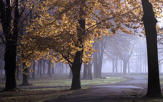 park o świcie