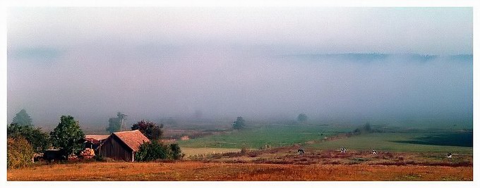 Jesień gdzieś na Podlasiu