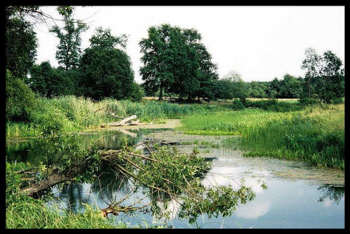 A u nas na Podlasiu...