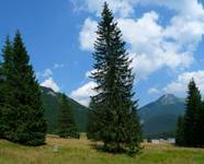 Tatry 2009.08.02  2