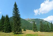 Tatry 2009.08.02  1