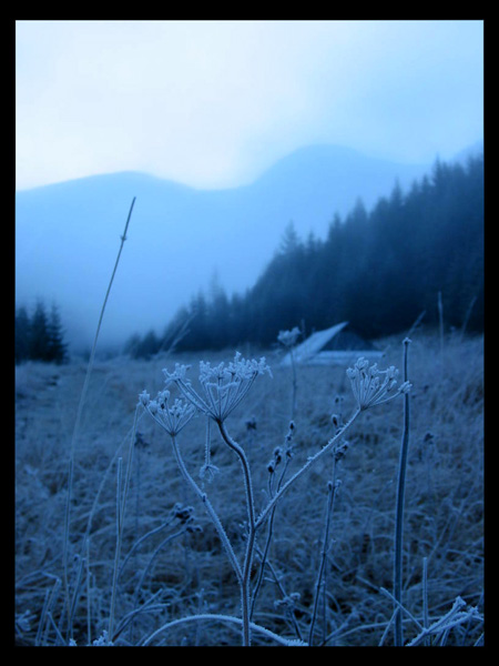 Tatry, Dolina Jaworzynki listopad 2003