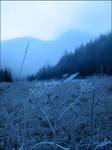 Tatry, Dolina Jaworzynki listopad 2003