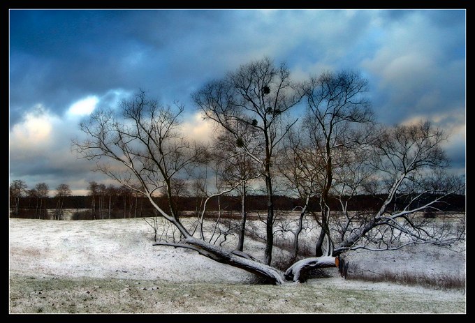 Mazury....