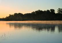 narew