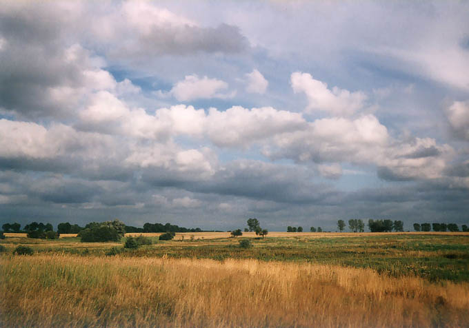 widok w kościuszkach