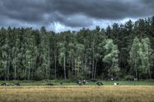 Mazury przed burzą