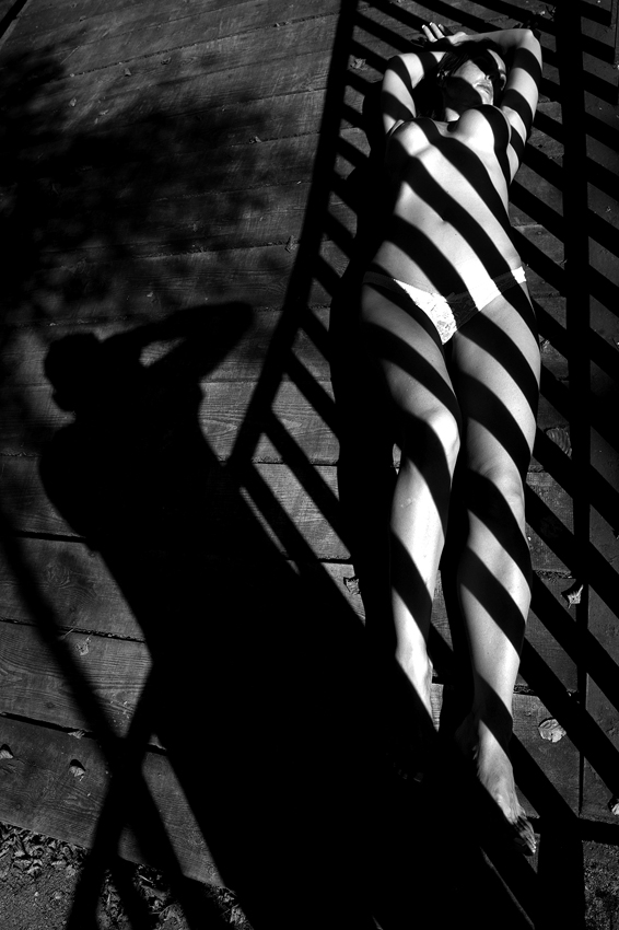 Zebra Crossing