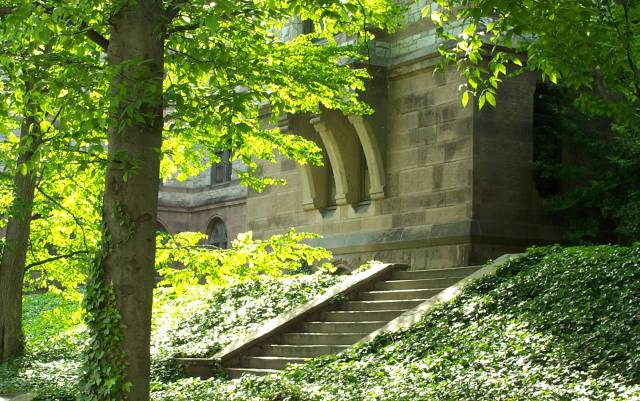 Princeton University Campus