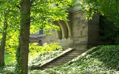 Princeton University Campus