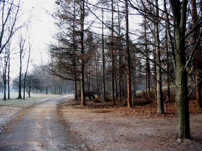 Park Lotników