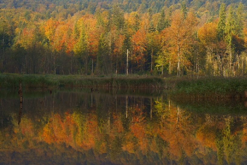 Bieszczady jesienne