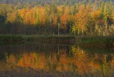 Bieszczady jesienne