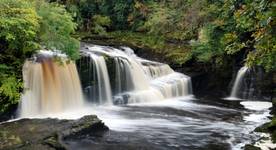 Falls of Clyde