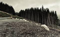 Wicklow Mountains way