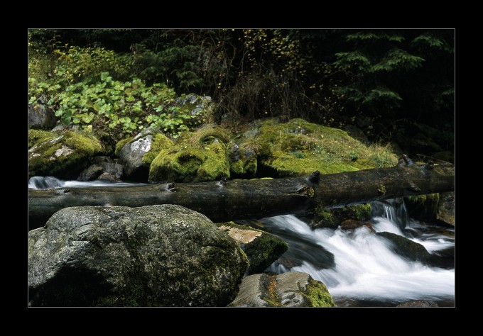 Tatry jesienią [2]