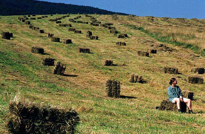 Bieszczady #1