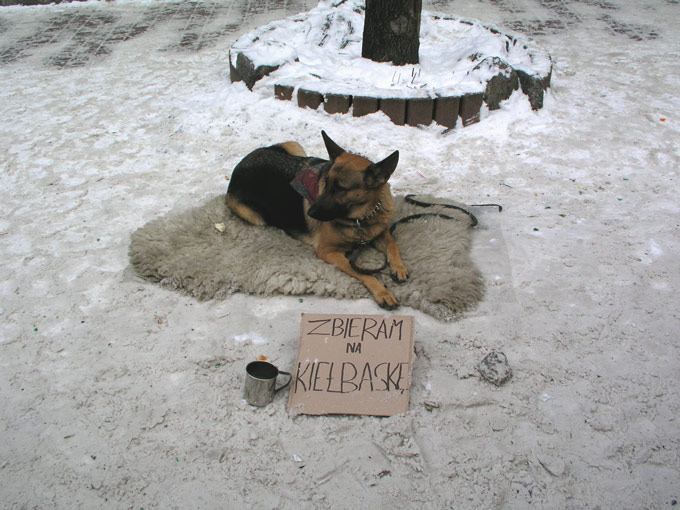 Zbieram na kiełbaske