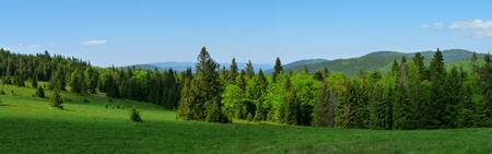 Beskidy 2010.06.05  1