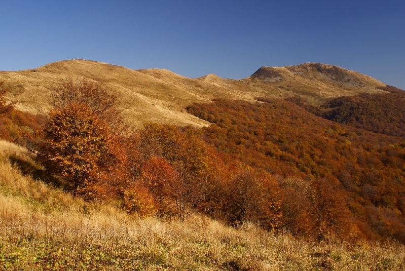 Kolorowa Tarnica